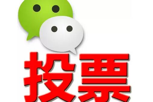 石家庄市微信投票功能开发 上传图片投票